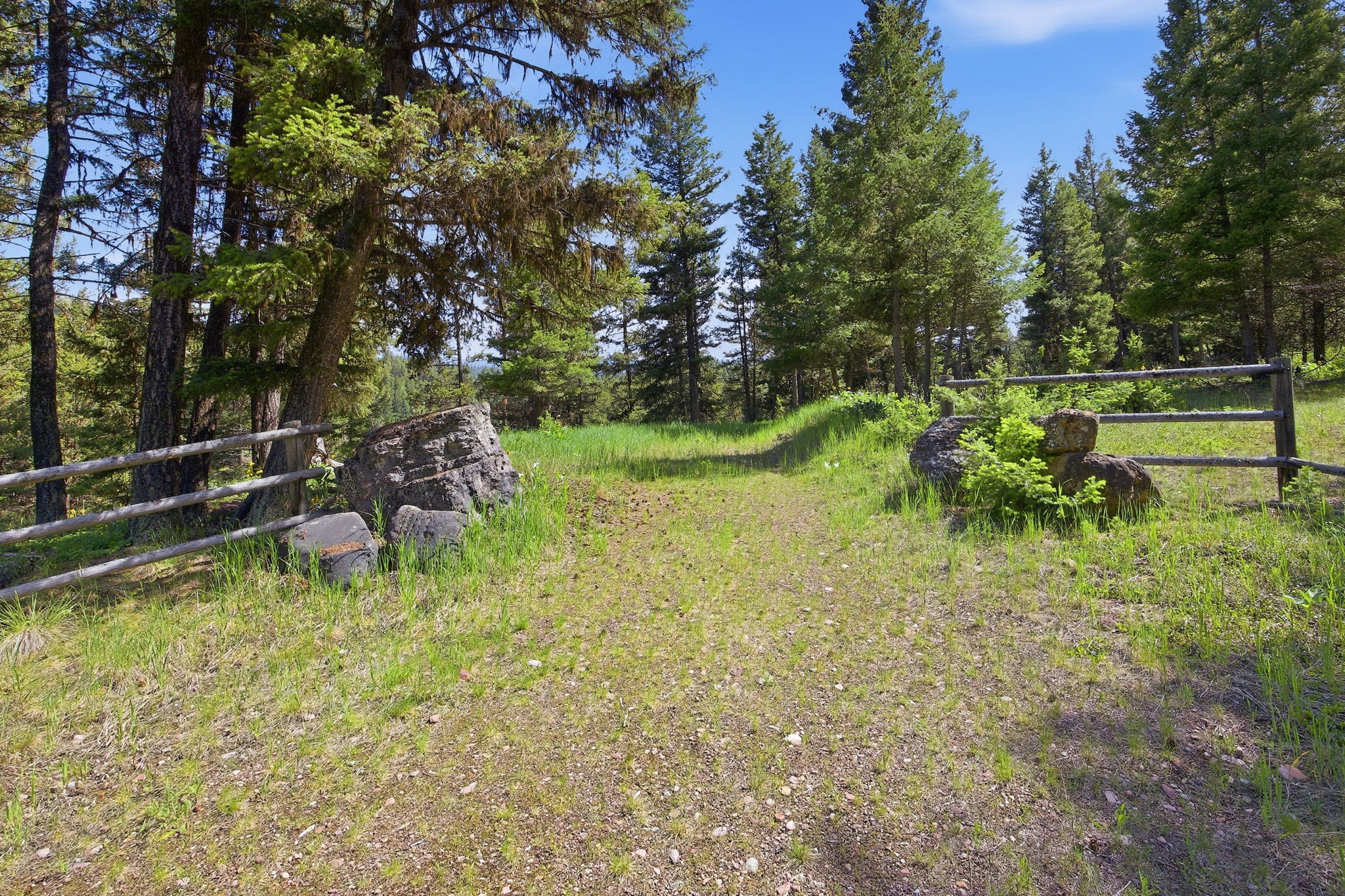 34-web-or-mls-leah-whitney_035