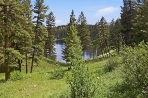 36-web-or-mls-leah-whitney_037