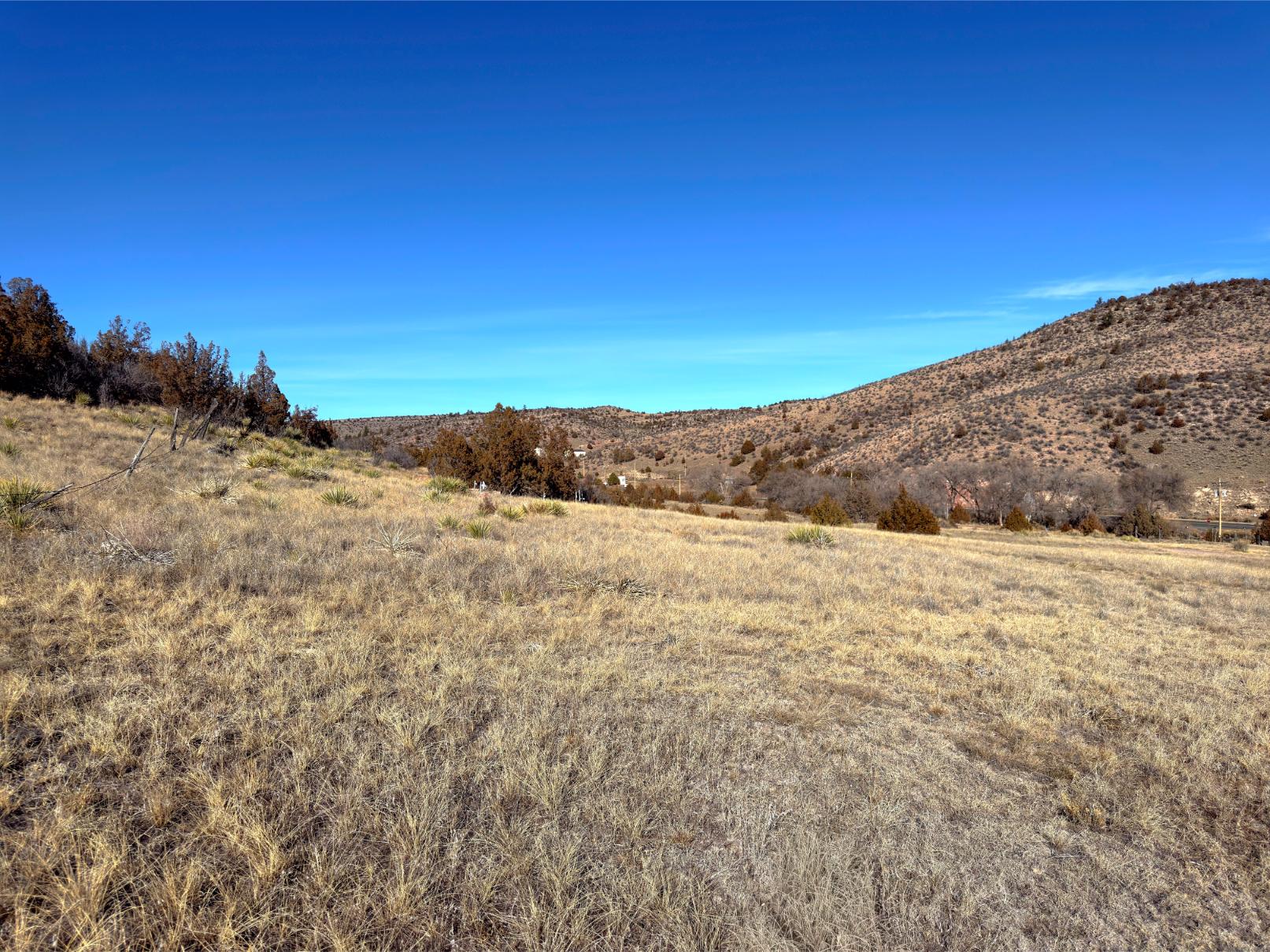Photo Point 1-3