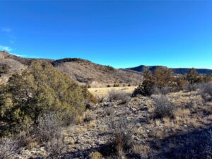 Photo Point 10-2