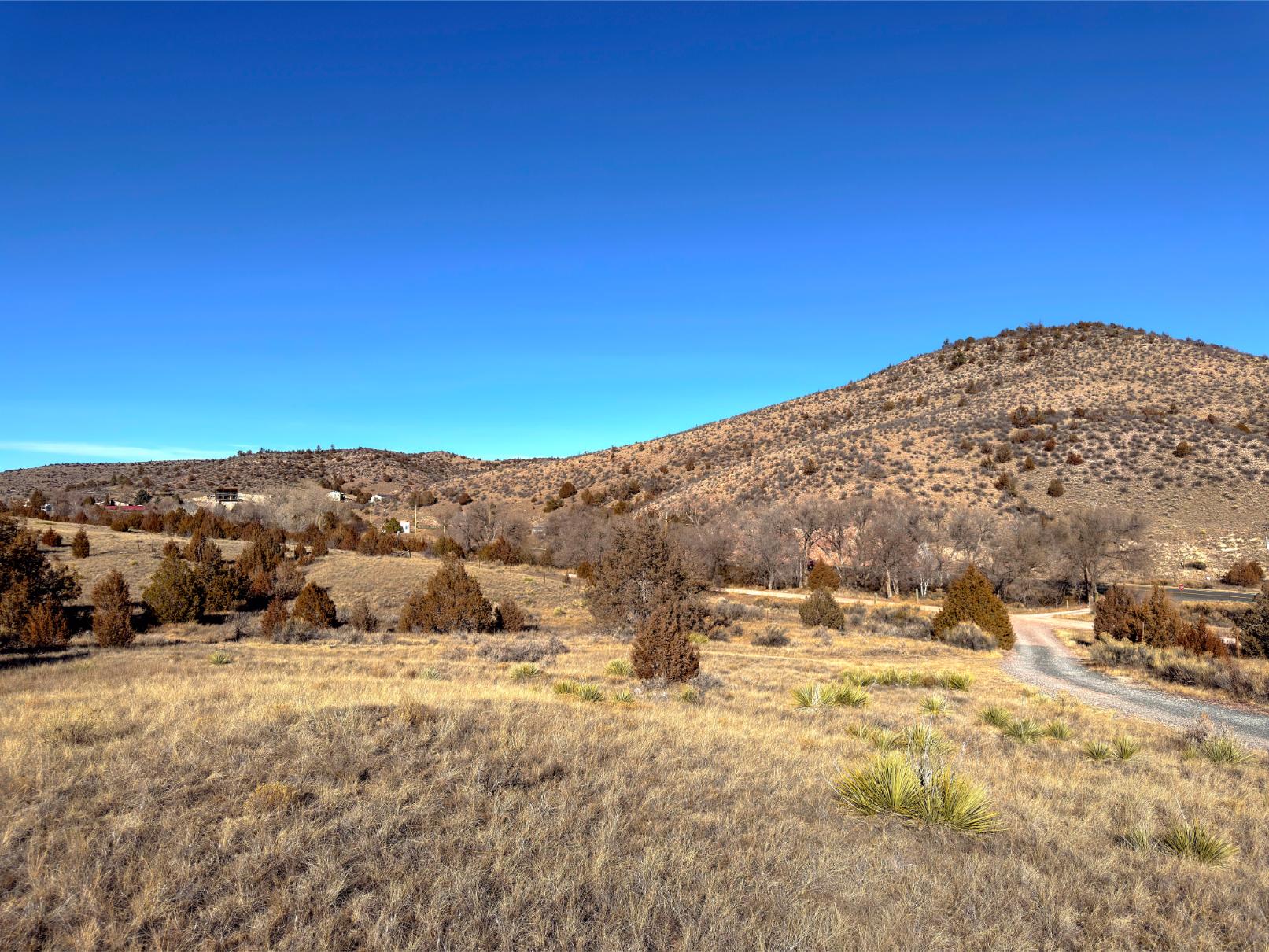 Photo Point 11-4
