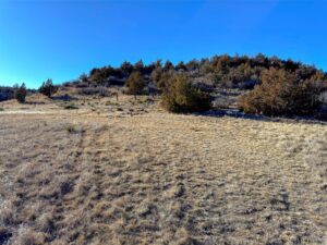 Photo Point 12-1