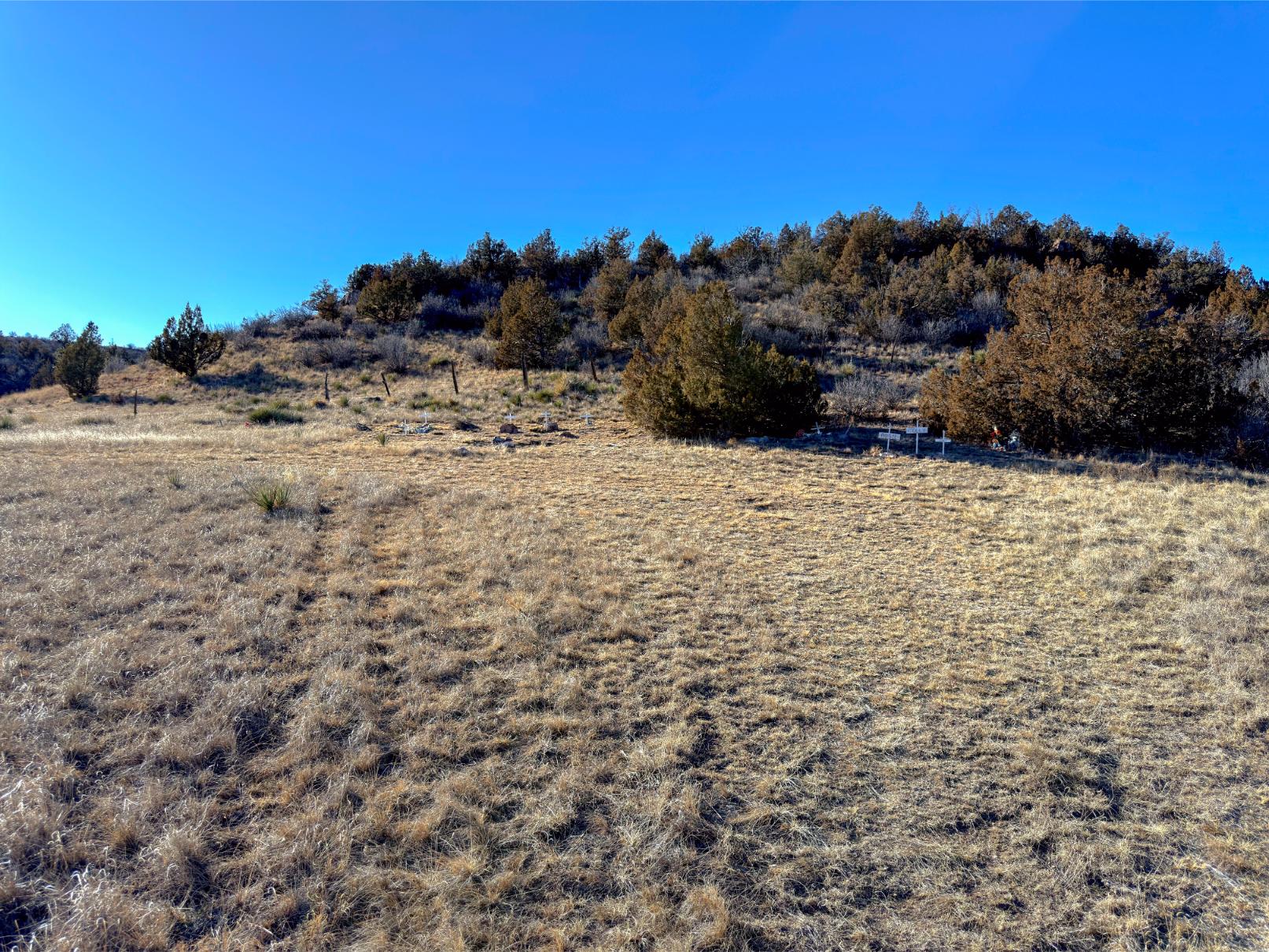 Photo Point 12-1