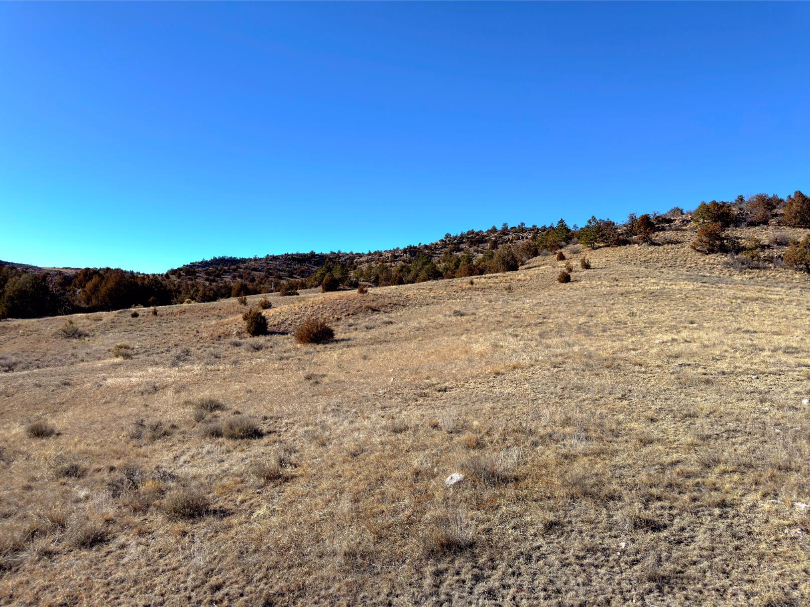 Photo Point 6-6