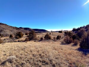 Photo Point 9-1