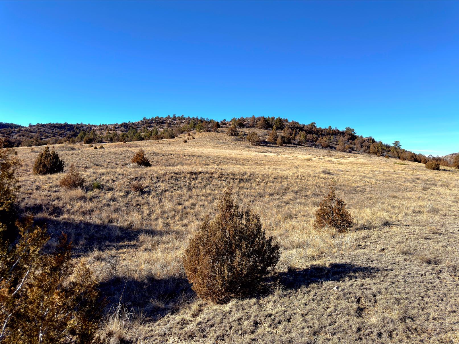 Photo Point 9-2