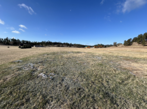 Screenshot 2026-06-10 at 2.32.48 AM