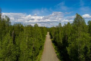 Shot-19