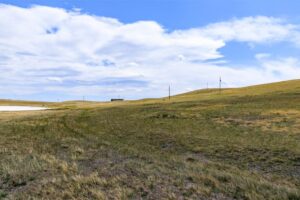 Wilco Lewis-Clark Hauge-11