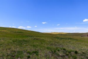 Wilco Lewis-Clark Hauge-12