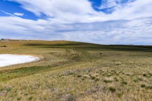 Wilco Lewis-Clark Hauge-2