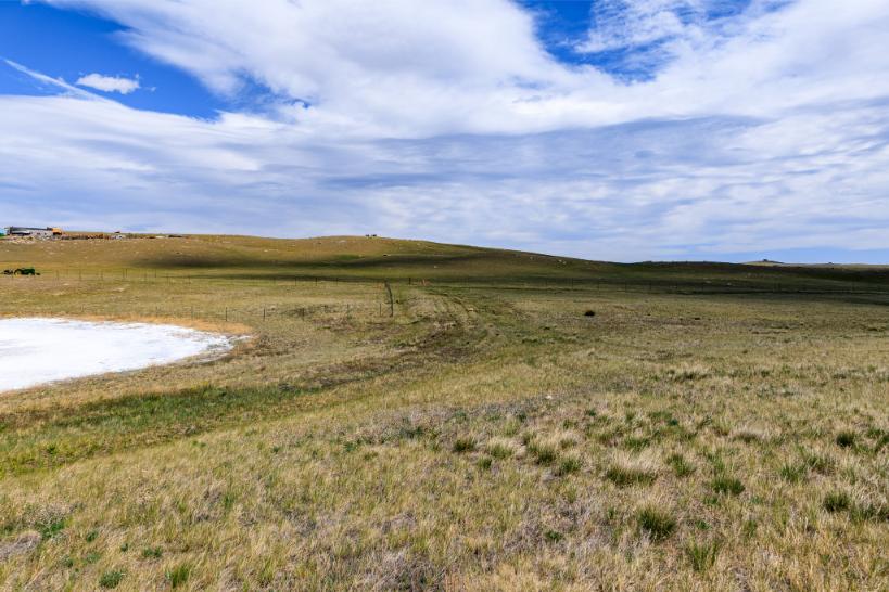 Wilco Lewis-Clark Hauge-2