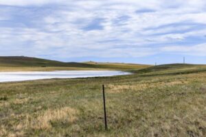 Wilco Lewis-Clark Hauge-3