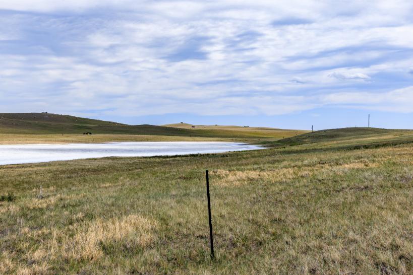 Wilco Lewis-Clark Hauge-3