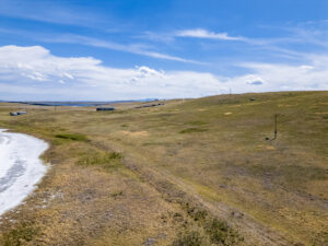 Wilco Lewis-Clark Hauge Drone-6