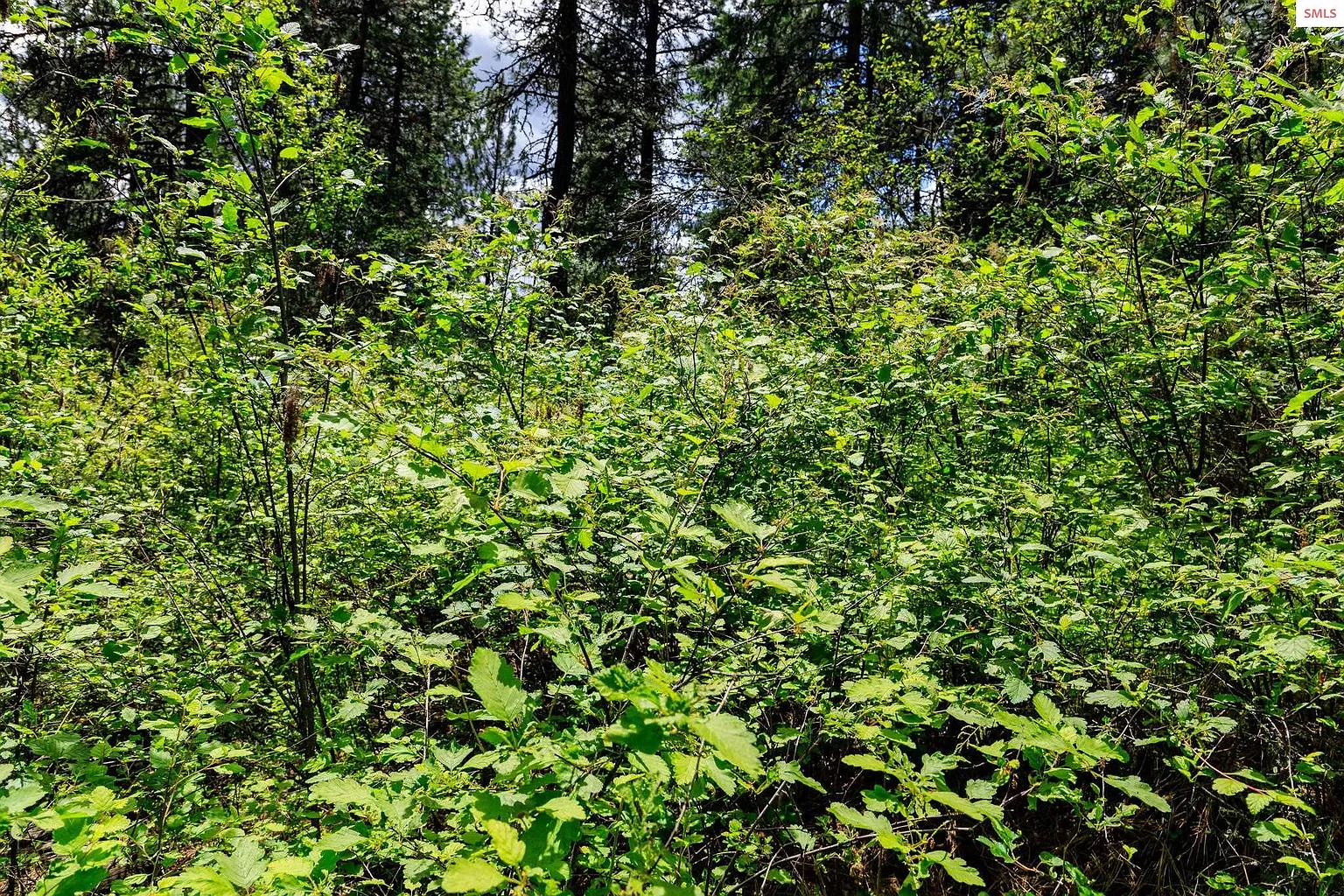 28fc6cd75298fccd4b024979662f349a-uncropped_scaled_within_1536_1152