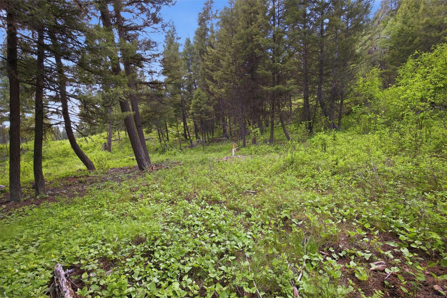39-web-or-mls-leah-whitney_040