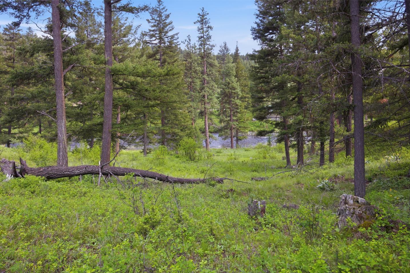 40-web-or-mls-leah-whitney_041