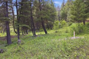 41-web-or-mls-leah-whitney_042