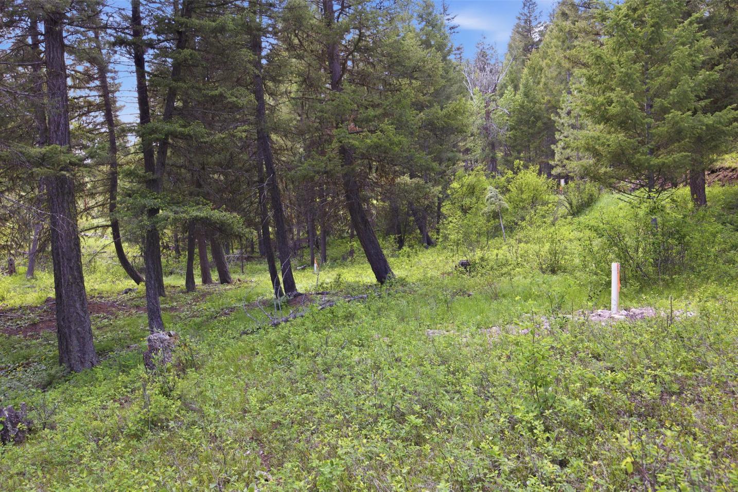 41-web-or-mls-leah-whitney_042