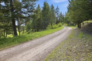 42-web-or-mls-leah-whitney_043