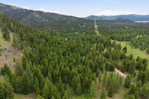 45-web-or-mls-leah-whitney_047 (1)