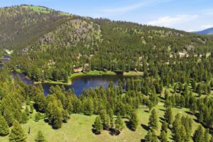 48-web-or-mls-leah-whitney_050