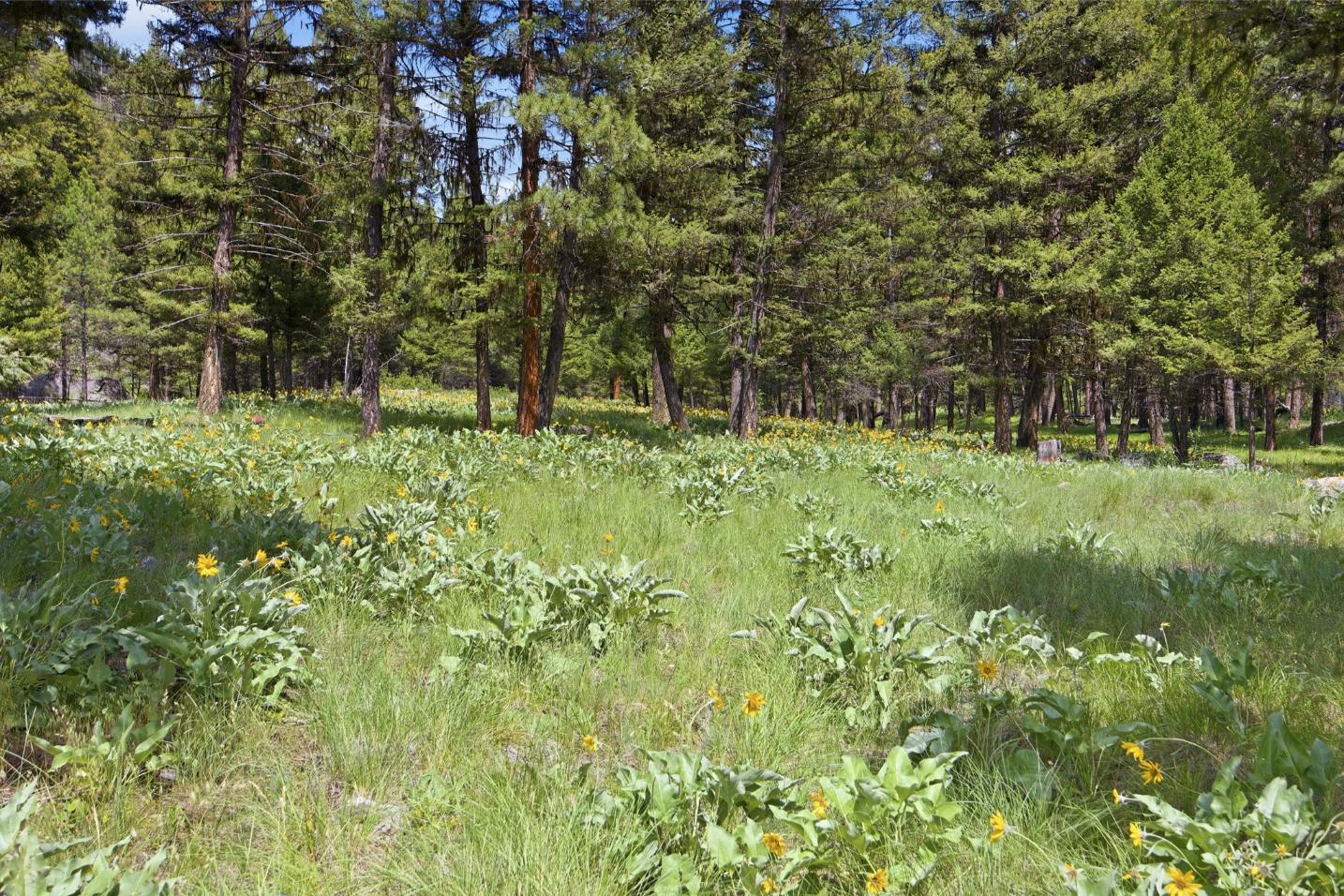 6-web-or-mls-leah-whitney_006 (1)