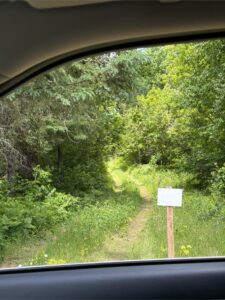 IMG_8555