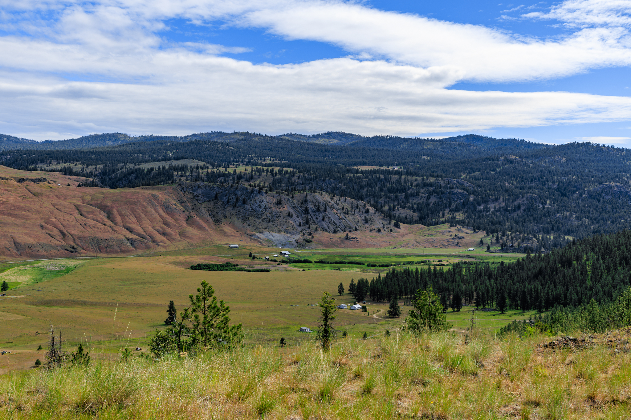 Okanogan Vanderbilt-10