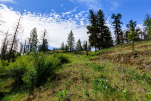 Okanogan Vanderbilt-13