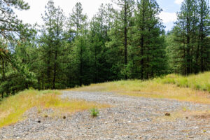 Okanogan Vanderbilt-3