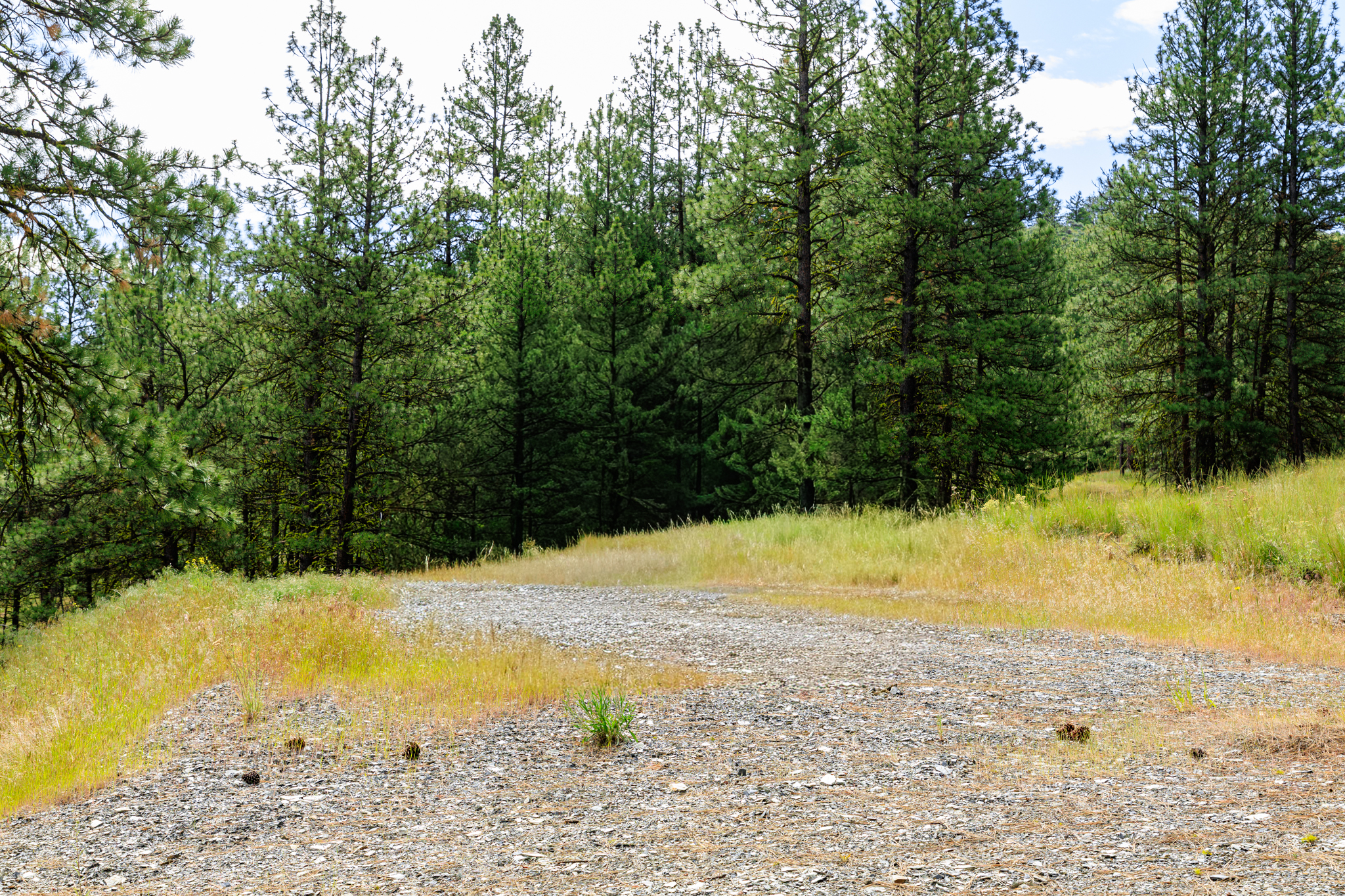 Okanogan Vanderbilt-3