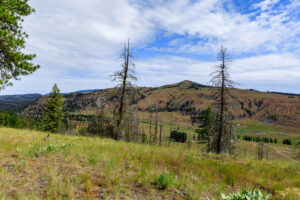 Okanogan Vanderbilt-9