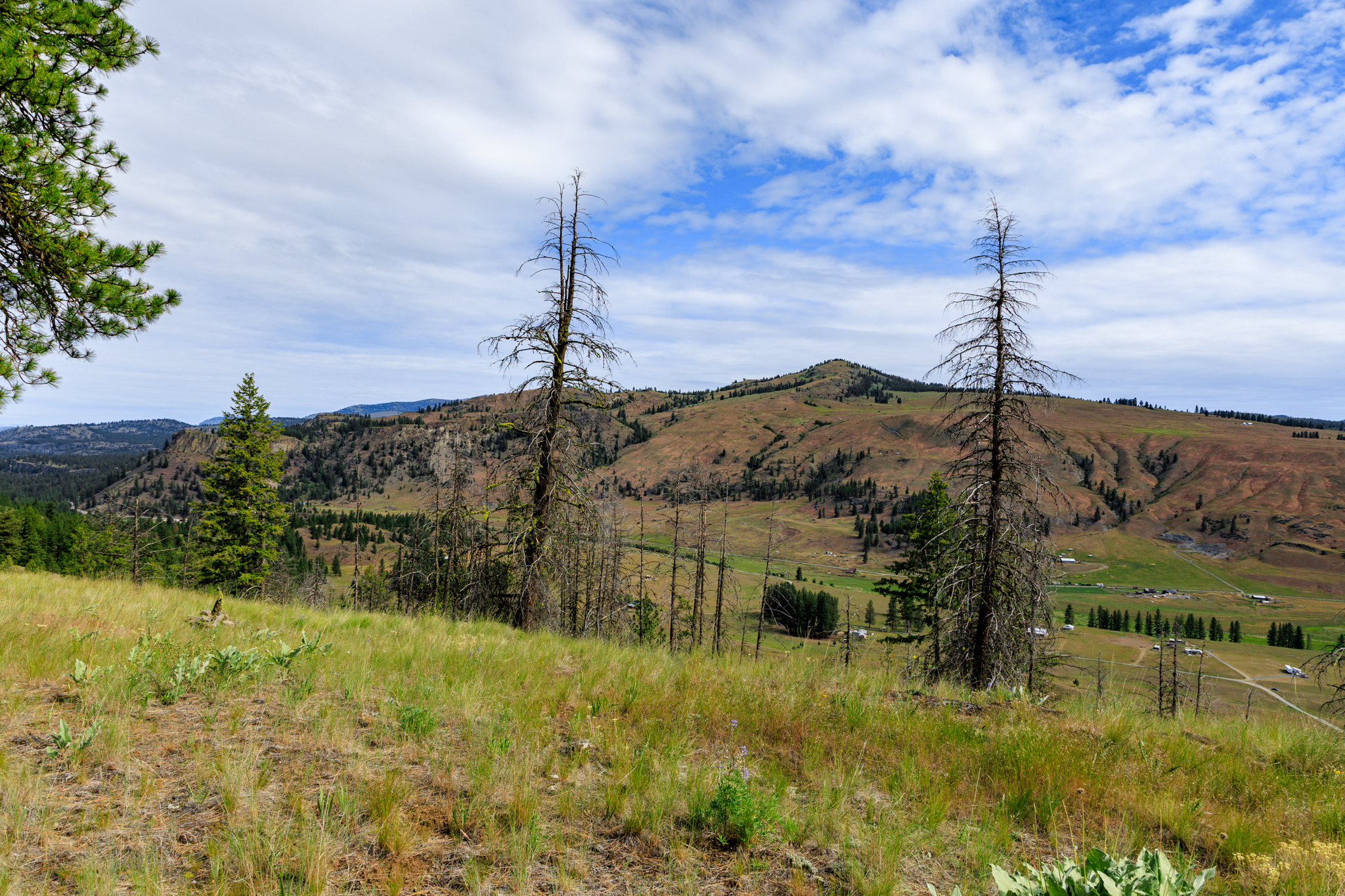 Okanogan Vanderbilt-9