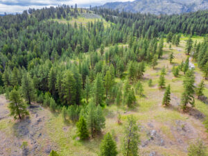 Okanogan Vanderbilt Drone-10