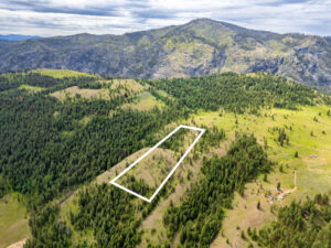 Okanogan Vanderbilt Drone-14