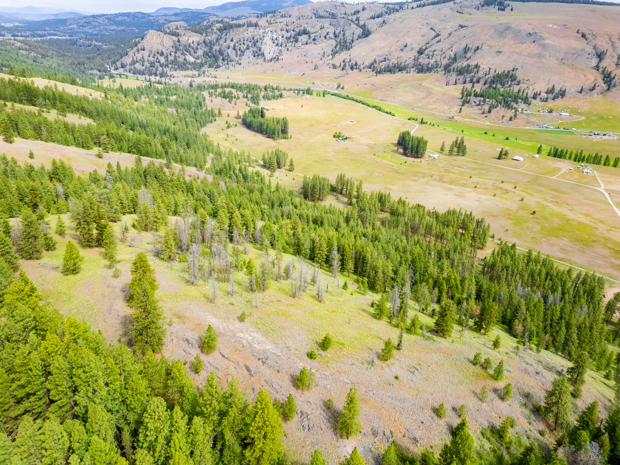 Okanogan Vanderbilt Drone-6