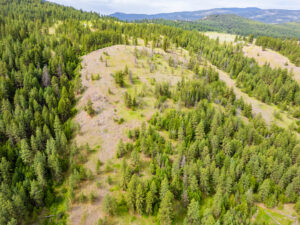 Okanogan Vanderbilt Drone-7