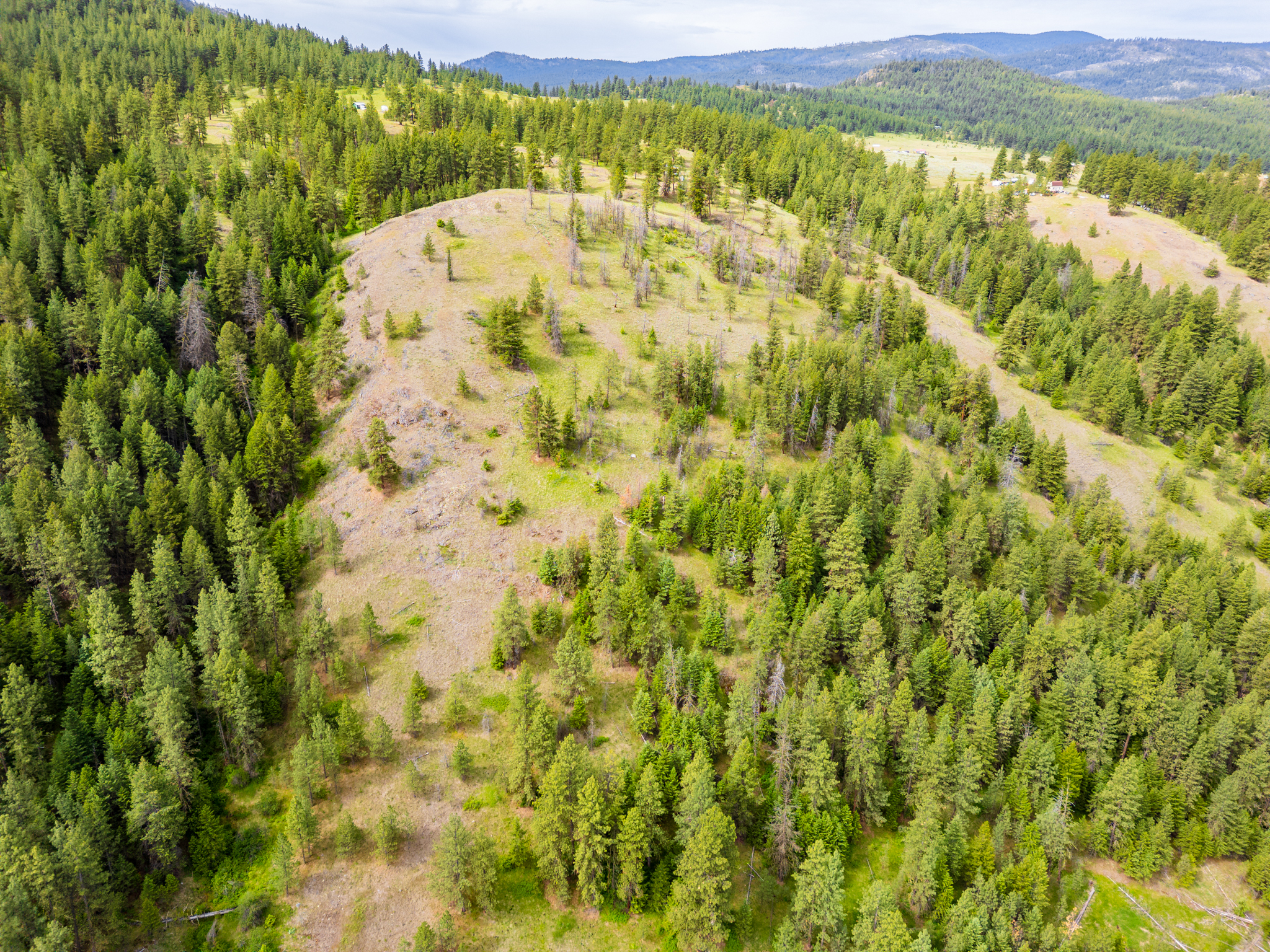 Okanogan Vanderbilt Drone-7