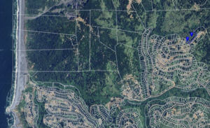 Screenshot 2026-07-31 at 5.23.57 PM