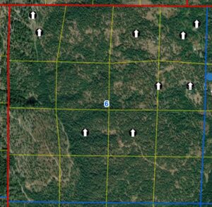 Section 6 Well Logs