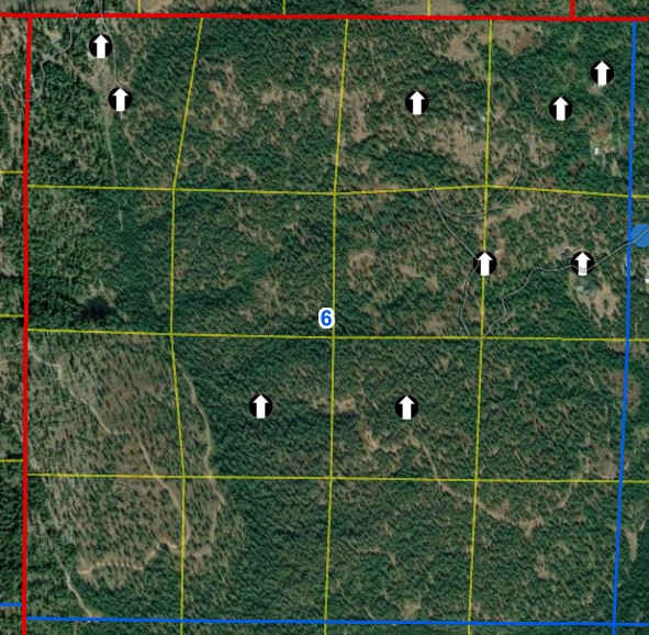 Section 6 Well Logs