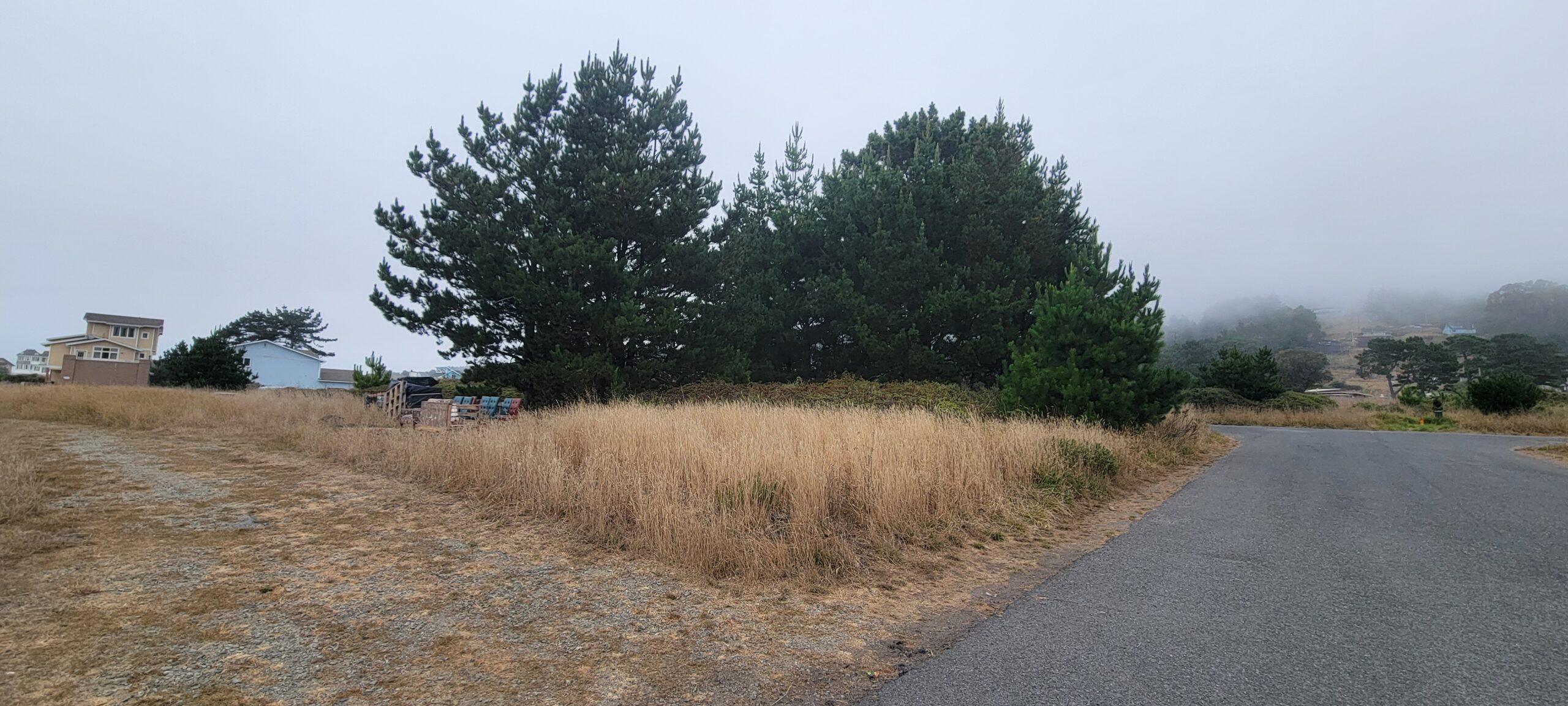 ca14
