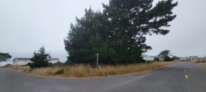 ca15