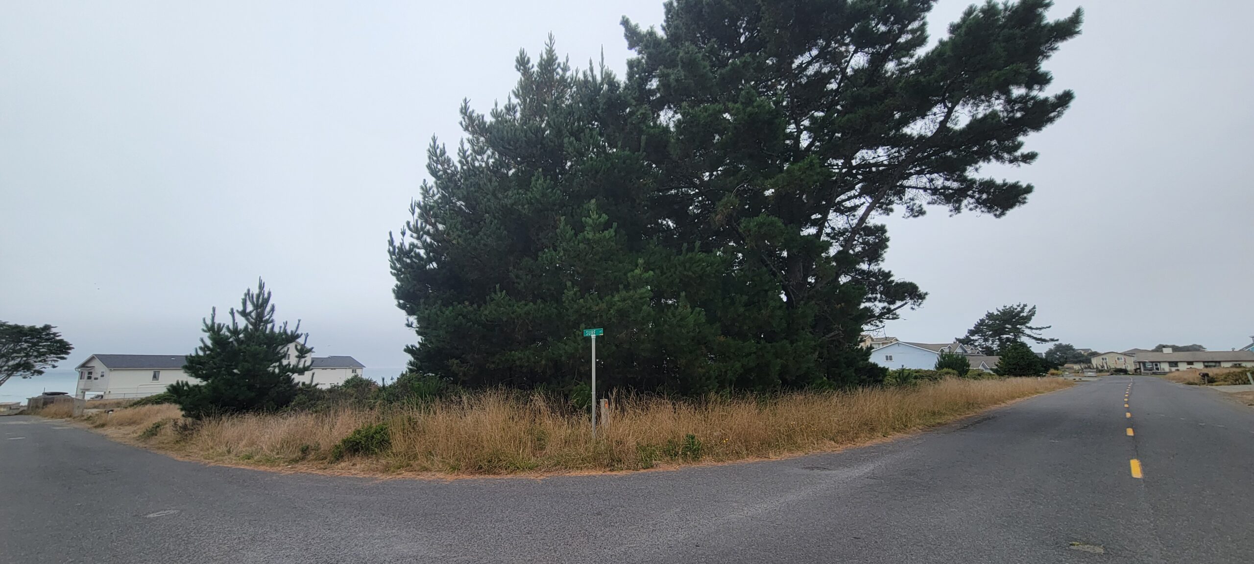 ca15