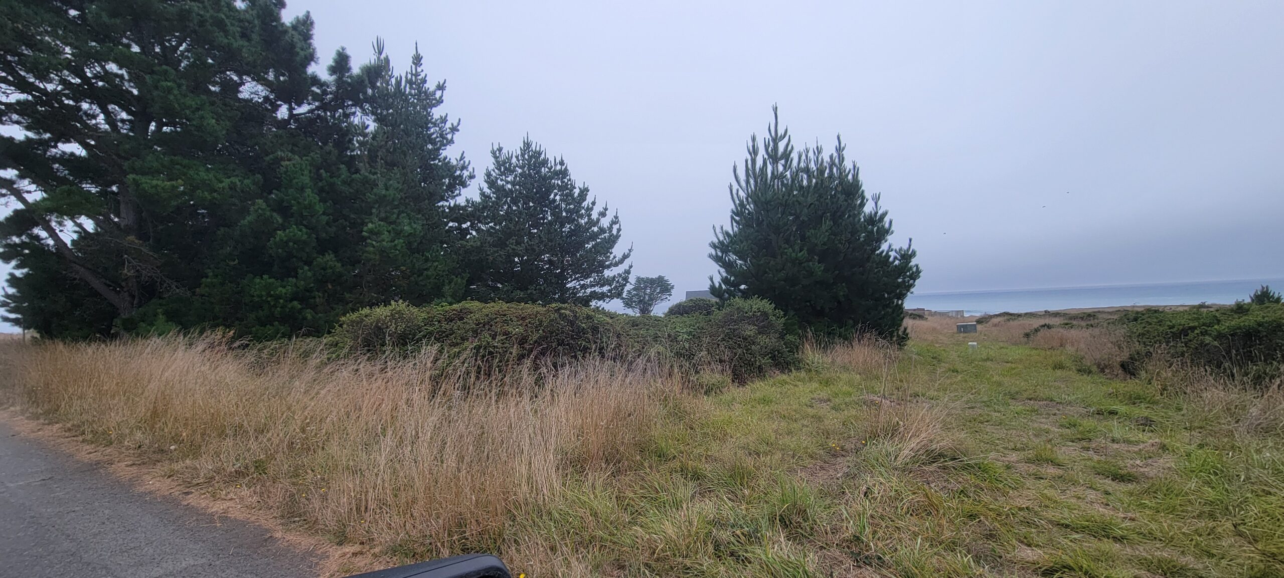 ca17