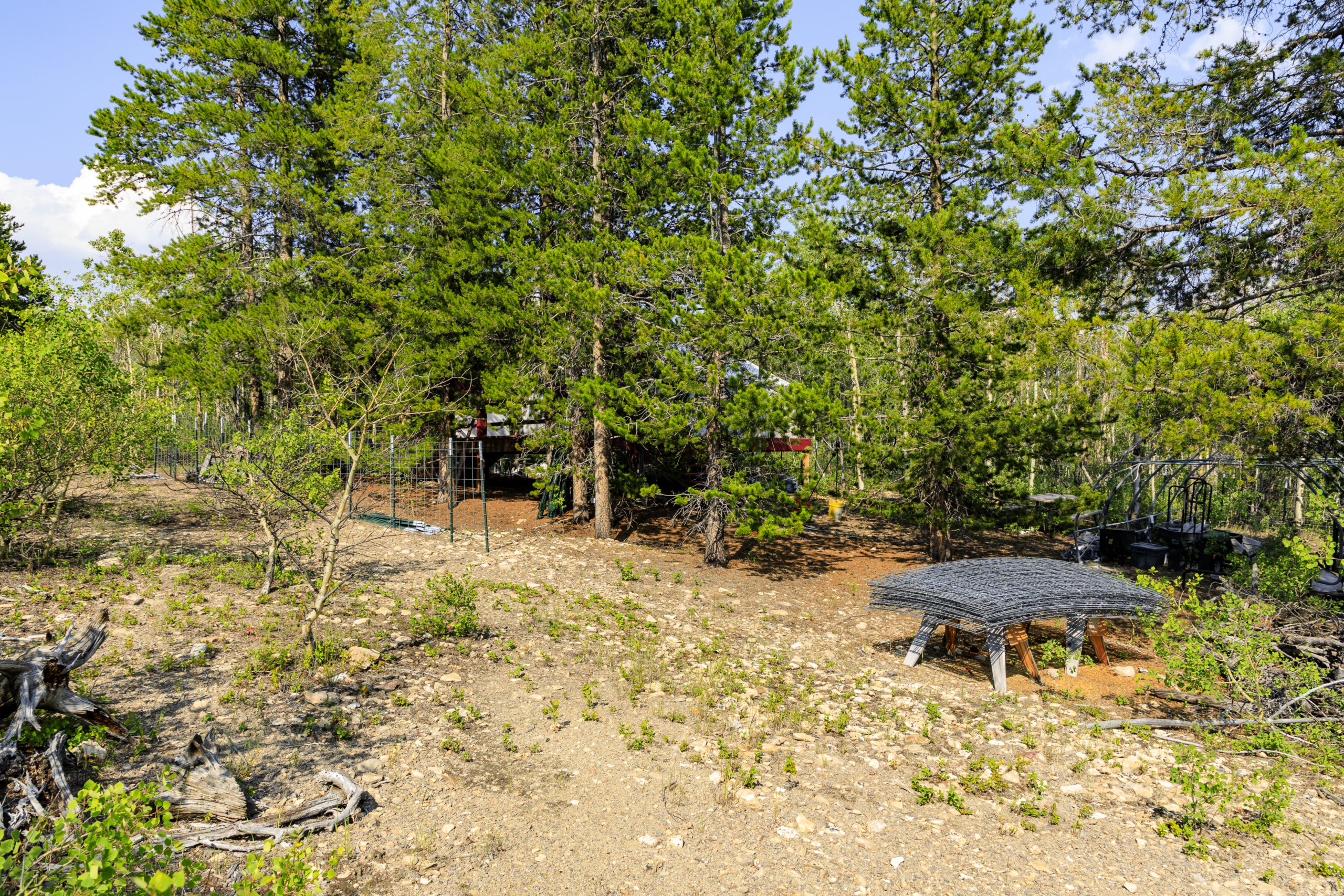 Dearlodge, MT, Brown Jonathan Chase 1-11