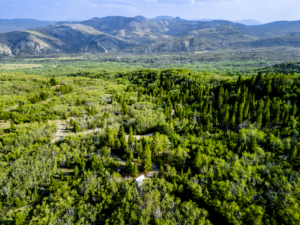 Dearlodge, MT, Brown Jonathan Chase 1 Drone-02