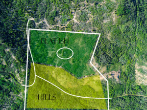 Dearlodge, MT, Brown Jonathan Chase 1 Overhead map